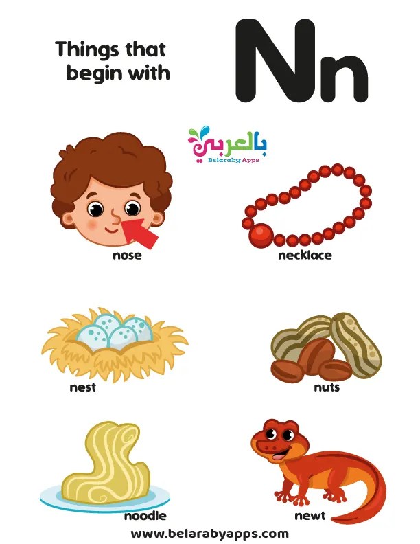 بطاقة كلمات تبدأ بحرف Letter Nn بطاقة كلمات تبدأ بحرف Letter Nn